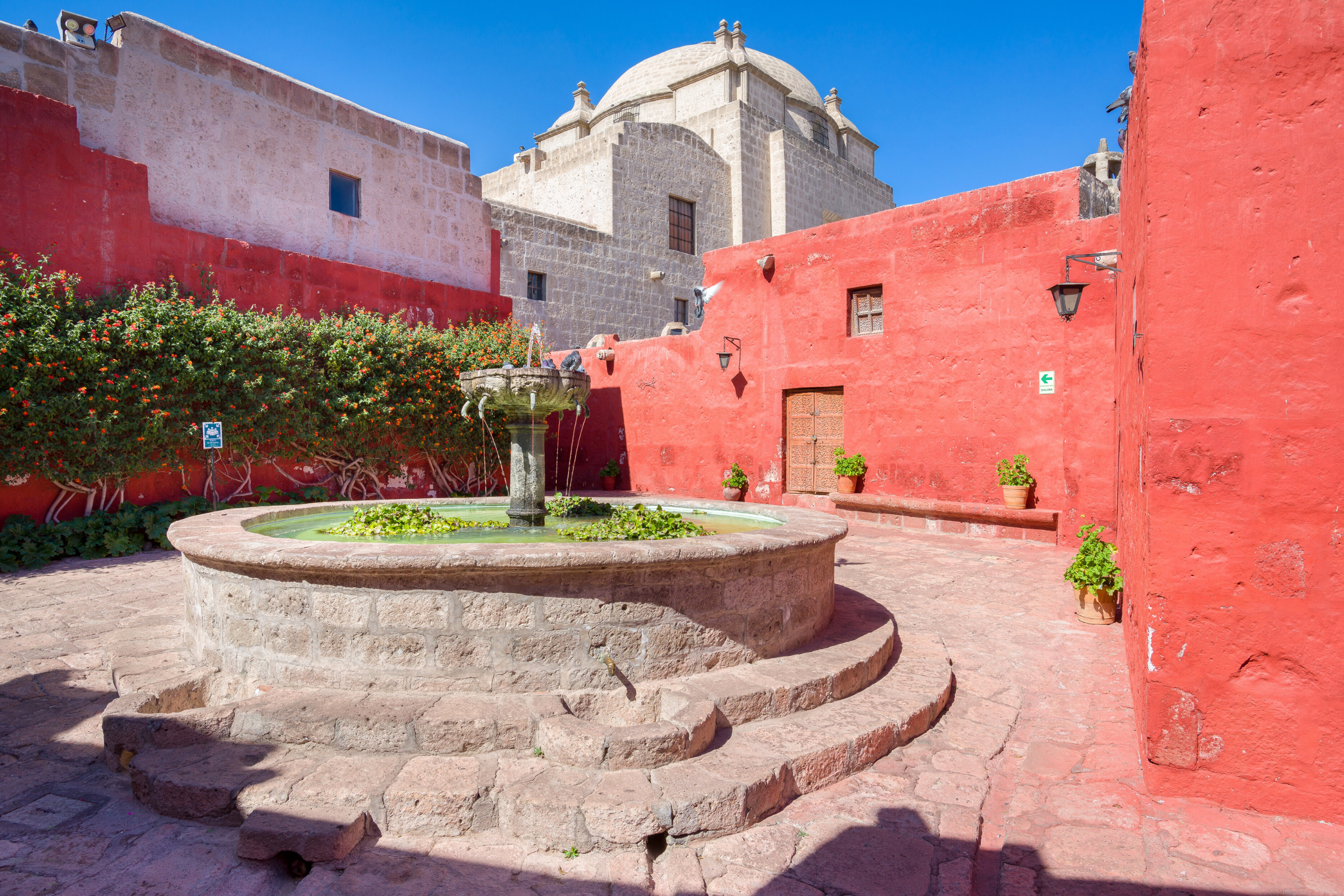102 arequipa.webp